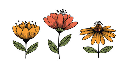 Three colorful hand-drawn flowers with green leaves on a white background, perfect for nature and floral designs.