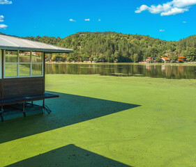 Life on the lake in early autumn