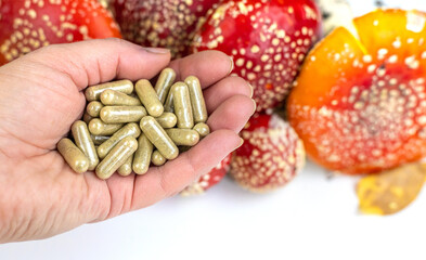 Muscimol from fly agaric. Selective focus.