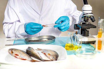 Fototapeta premium Research fish in the lab. Selective focus.