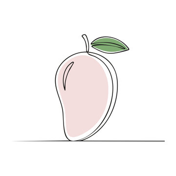 Minimalist single continuous line mango fruit illustration