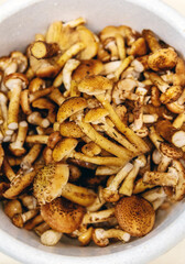 Mushrooms collected in the forest. Selective focus.