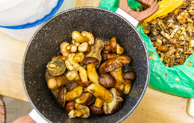 Mushrooms collected in the forest. Selective focus.