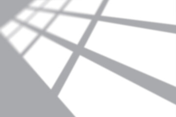 Elegant window shadows create a modern, minimalist background for your design project or unique presentation