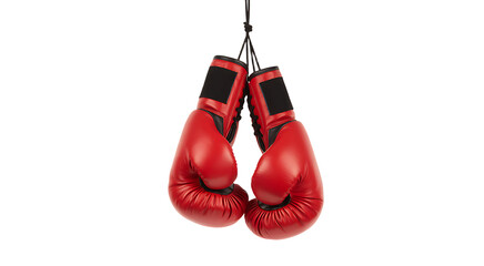 Red boxing gloves hang suspended
