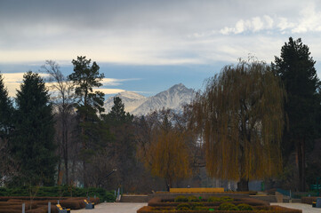 autumn landscape with trees