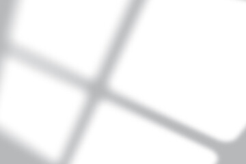 Elegant window light overlay for your designs adds a modern, clean, and bright aesthetic appeal now