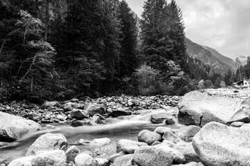 Val di Genova River – Black and White Landscape