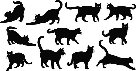 Collection of black cat silhouettes in various playful, stretching, walking, and standing poses illustrating feline movement, behavior, posture, and 