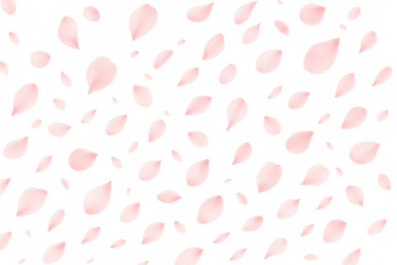 Falling pink cherry blossom petals on transparent background creating seamless floral spring pattern