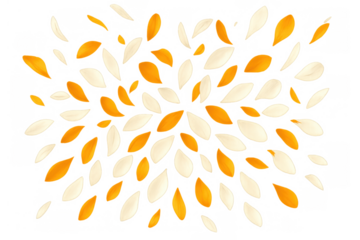 Yellow and white floral petals scattering and falling, forming an abstract explosion and elegant design on a transparent background