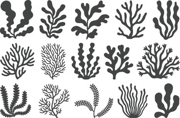 Seaweed and coral silhouette vector set, underwater marine plant icons collection, aquarium algae and reef leaf illustration, black isolated graphics © Mst