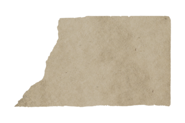 Grungy Isolated Paper Texture for Design