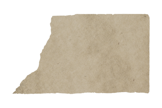 Grungy Isolated Paper Texture for Design