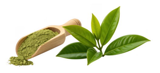 Green tea powder in wooden scoop and leaves isolated on a transparent background