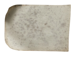 Textured Old Paper Background for Design Projects