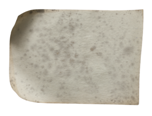 Textured Old Paper Background for Design Projects