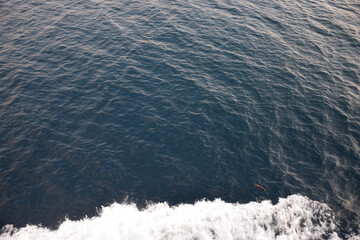 The beach foam in the sea is pure like silk