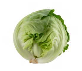Iceberg lettuce head isolated on a transparent background