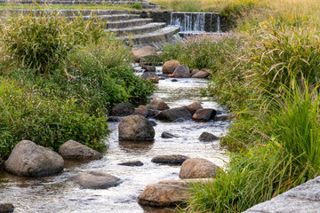 西宮・穏やかな夙川の流れ