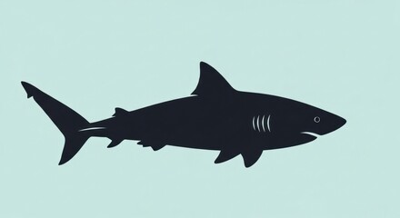 Silhouette of a shark swimming in the ocean, black shape.