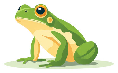Fototapeta premium PNG Frog amphibian wildlife reptile transparent background