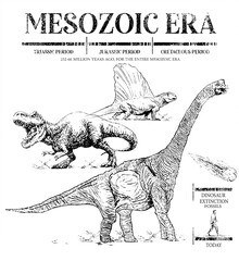  Dinosaur Theme T-shirt ou Dino T-shirt