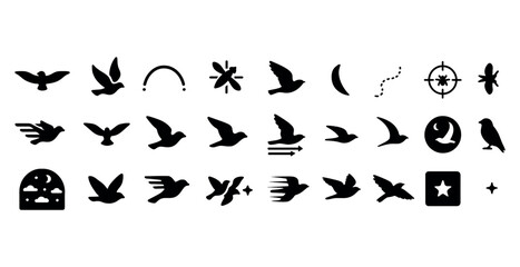 Diverse bird silhouettes in flight and symbols across various st