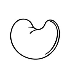 Health & Medical &ndash; Thick Outline BW &ndash; stomach rounded