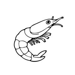 Food & Kitchen &ndash; Thick Outline BW &ndash; shrimp outline