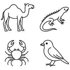 Outline drawings of four animals: a camel (Camelus), an iguana (Iguana iguana), a crab (Brachyura)