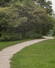 Winding gravel path through lush green park in summer