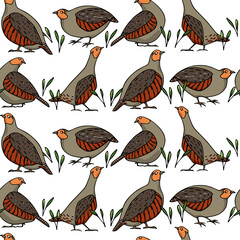 Vector seamless pattern with hand drawn flock of cute Grey Partridges on the heath. Beautiful illustration, ink drawing. Perfect for prints and patterns