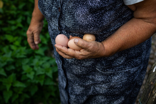 Close-up of a farmer's hands holding fresh brown chicken eggs outdoors Homestead scene with natural light, garden foliage, and countryside lifestyle, symbolizing organic food, care, and harvest.