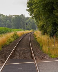Fototapeta premium Railroad track disappearing into lush green forest on cloudy day