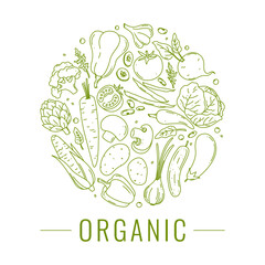 Healthy organic vegetables, round linear emblem