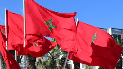 Waving Moroccan national flags with green pentagram against clear blue sky, fluttering red banners...