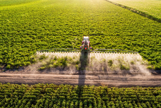 Tractor spraying crops in green agricultural farm field