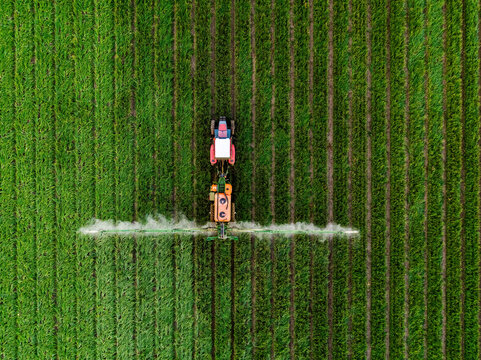 Tractor spraying pesticide on green agricultural crop field
