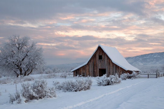 Rustic wooden barn covered in thick snow, soft pastel winter sky, rural charm, quiet peaceful atmosphere