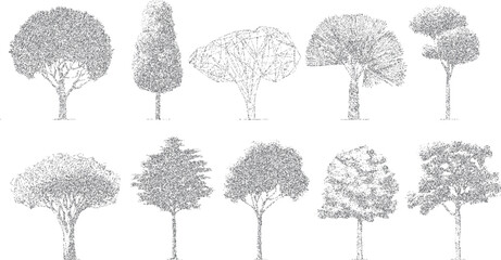 Collection of ten diverse gray stippled trees with varied canopy shapes and trunk structures on a white background © Pixel Park