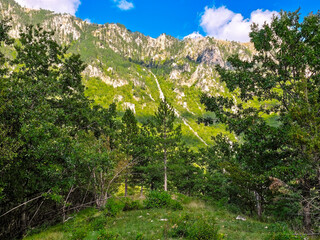 Mountain slope in Durmitor National Park, Montenegro, covered with lush green forest and rocky cliffs under a bright blue sky. Peaceful summer landscape with wild vegetation and alpine atmosphere.
