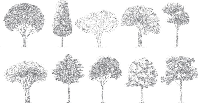 Collection of ten diverse gray stippled trees with varied canopy shapes and trunk structures on a white background
