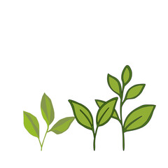 tea leaves pattern background. green leaves vector pattern background. Green tea leaf seamless pattern. seamless patterns with green leaves of tea