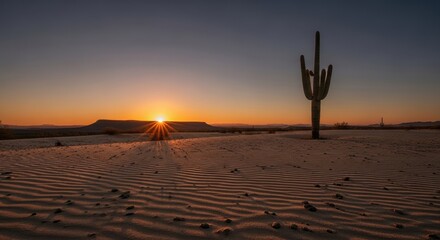 Desert landscape with saguaro cactus at sunset and sand dune patterns