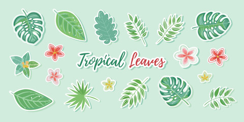 Collection of tropical leaves and flowers in cartoon style on light green © Rathindranath
