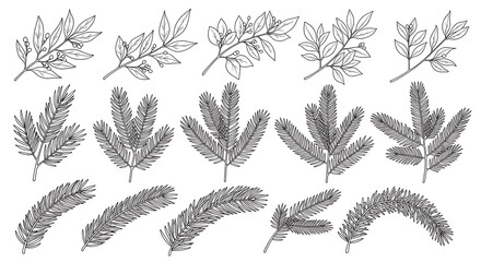 Fototapeta premium Line Art Illustrations of Various Plant Branches whisk photo