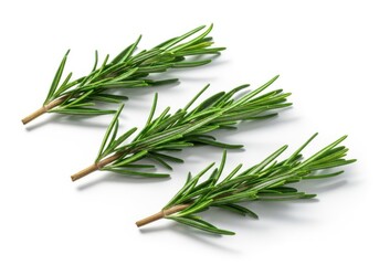 Fototapeta premium Three fresh rosemary sprigs isolated on white background