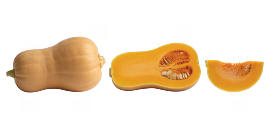 Butternut squash whole half slice isolated on a transparent background