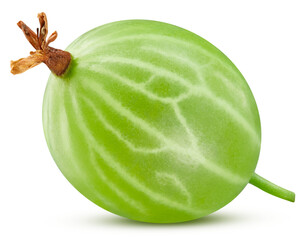 Gooseberry isolated on transparent background. Gooseberry PNG. Gooseberry full macro. No AI